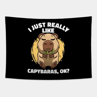 I Just Really Like Capybaras Lover Rodent Zoo Cute Capybara Tapestry