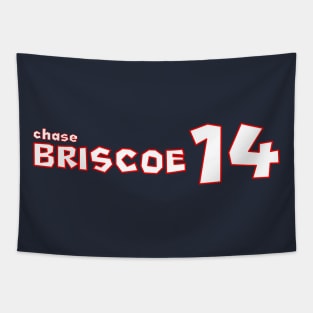 Chase Briscoe '23 Tapestry