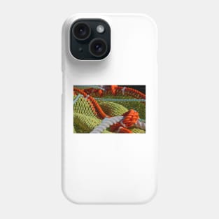 850_4870 Phone Case