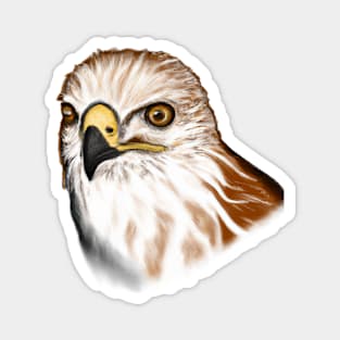 Cute Hawk Drawing Magnet