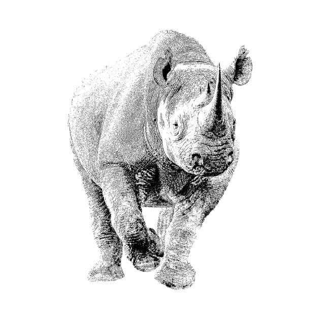 Endangered Black Rhino | African Wildlife by scotch