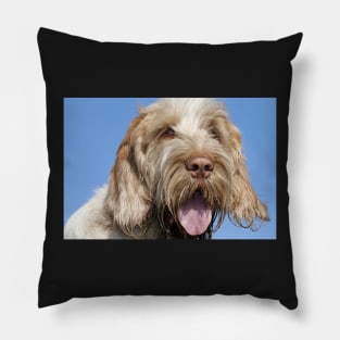 Blue Sky Spinone Pillow