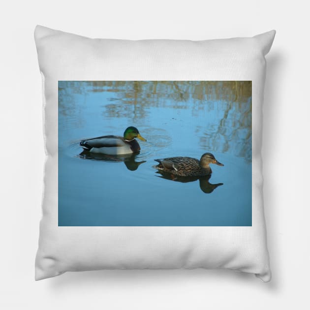 Ducks Pillow by newbeltane