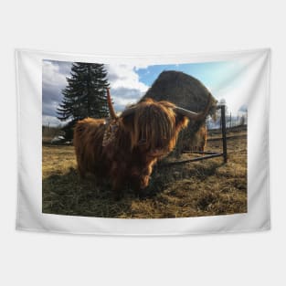 Scottish Highland Cattle Cow 2369 Tapestry