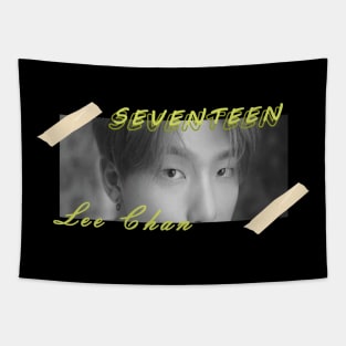 Kpop Design Dino Seventeen Tapestry