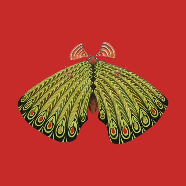 green moth by federicocortese