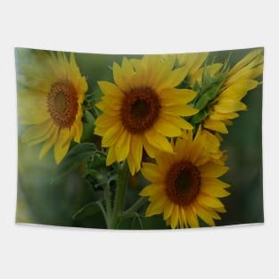 Be Radiant - Sunflowers Blooming  - Yellow Summer Botanical Flowers Tapestry