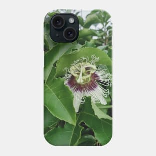 passion fruit flower, green leaves, plant photograph Phone Case