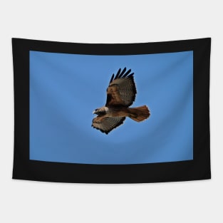 Western Red Tailed Hawk Tapestry
