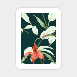 Botanical drawing of Anthurium Magnet