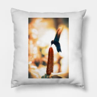 Caribbean Hummingbird Pillow