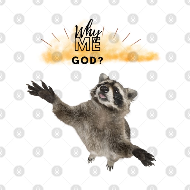 WHY ME GOD RACCOON by EmoteYourself