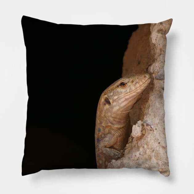 Lizard Life Pillow by Nicole Gath Photography