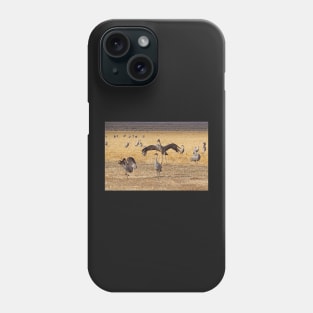 Dancing Cranes Phone Case