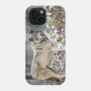 Gray Wolf Phone Case