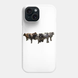 cows Phone Case