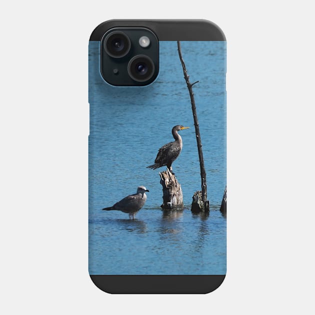 Double-crested Cormorant And Gull On A Tree Phone Case by BackyardBirder