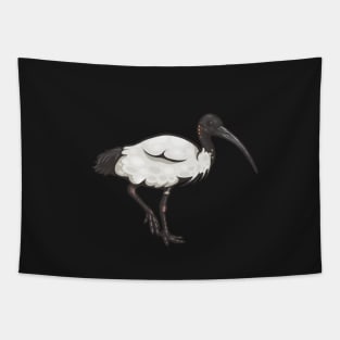 Australian White Ibis Tapestry