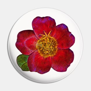 Red flower. Pin