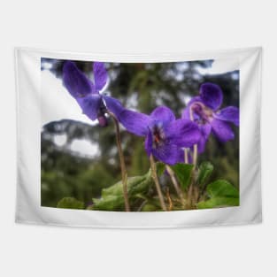 Fragrance Violet Tapestry