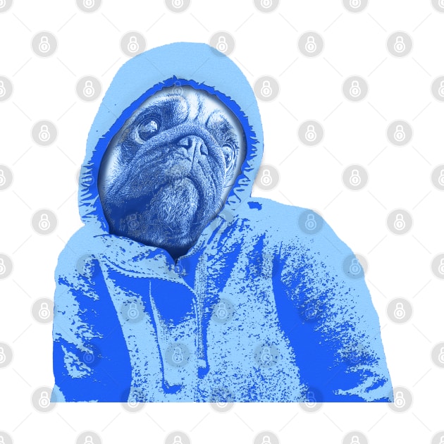 Pug as a Thug, Dog in a Hoodie by McNutt