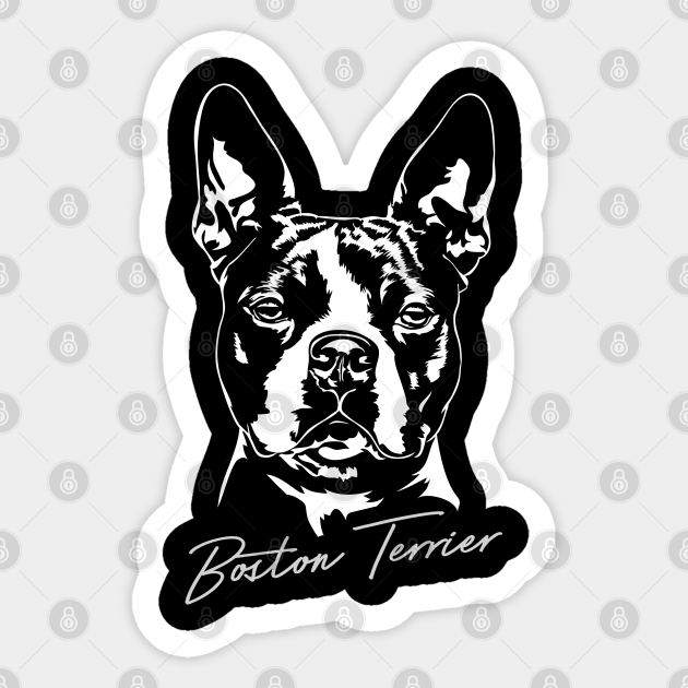 Details about / Pride Of A Boston Terrier Mom Sticker Portrait