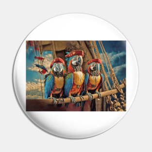 Macaw Pirate Parrots Pin