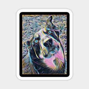 Cute rainbow colored dog Magnet