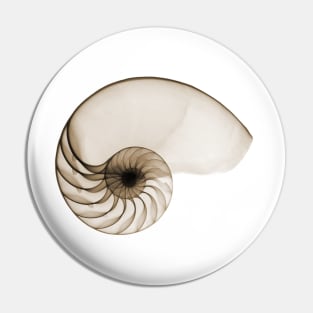 Sepia Seashell Pin