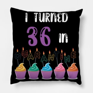 I Turned 36 In Quarantine funny idea birthday t-shirt Pillow
