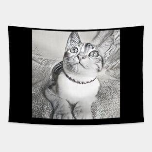 THE ADORABLE LOOK CAT PORTRAIT Tapestry