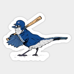 Blue Jay, Accessories, Blue Jay Winter Hat And Stickers