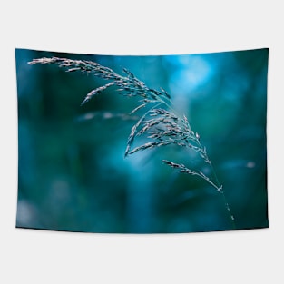 Moody Nature Tapestry