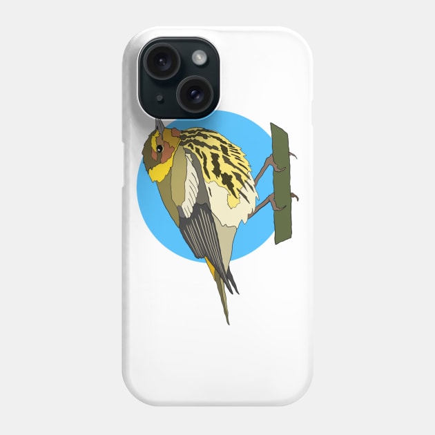 Cape May Warbler Phone Case by New World Aster 