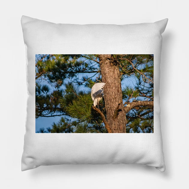 Grooming time Pillow by KensLensDesigns