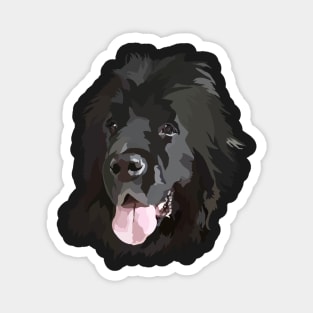 Newfoundland Doodle Magnet