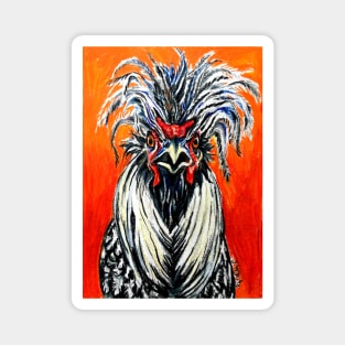 Fiery Polish Rooster, Roody Magnet