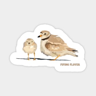 Piping Plover Magnet