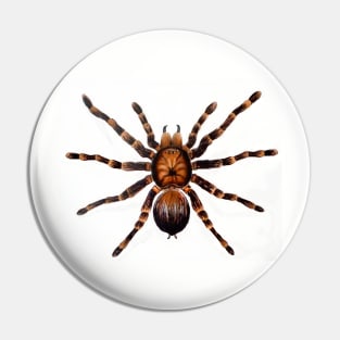 spider Pin