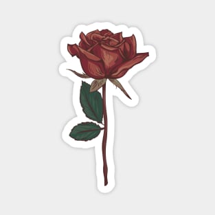 Vintage Rose Magnet