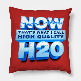 High Quality H20 Pillow