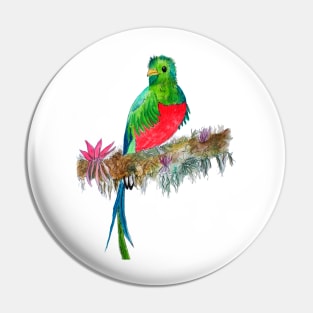 Quetzal Watercolor Pin