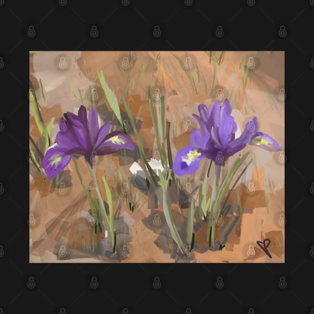 Two Blooming Iris by trishaclarkin