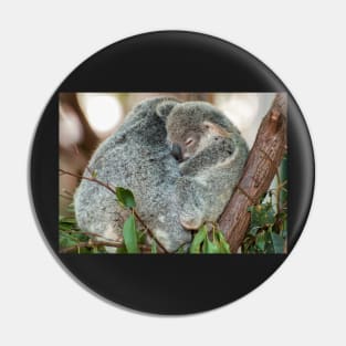 Koala Cuddles Pin