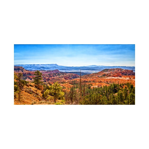 Bryce Canyon National Park by Gestalt Imagery