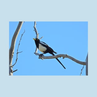 Wild birds, magpie, wildlife, A California Gem T-Shirt