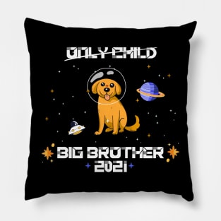 big brother 2021 dog astronaut pregancy announcement Pillow