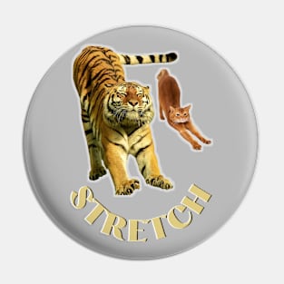 Stretch exercise by a tiger and a cat - gold text Pin