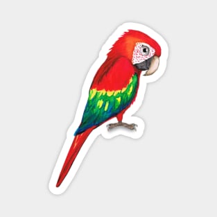 Scarlet macaw Magnet