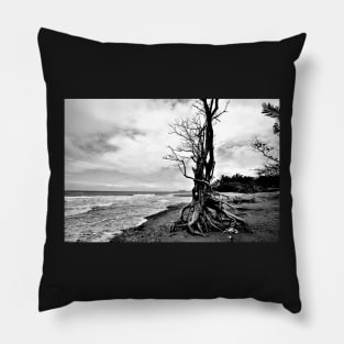 Arbre sur une plage en Noir & Blanc Pillow